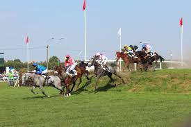 Waregem koerse is dé hoogdag van de paardensport en van waregem; Herbeleef Hier Waregem Koerse Focus En Wtv