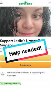 Leslie Vargas Go Fund Me