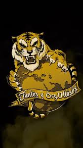 Viimeisimmät twiitit käyttäjältä tigres uanl(@tigres_uanl). Tigres Uanl Campeon Elimlicea Felinos Incomparables Libresylokos Qatar Hd Mobile Wallpaper Peakpx