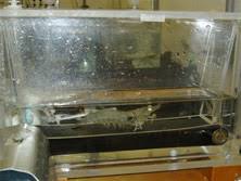 The shrimp treadmill, invented and built by scholnick, allows researchers to measure the activity of an exercising shrimp for a set period of time at known speed and oxygen levels. Treadmill Studies Louis E Burnett