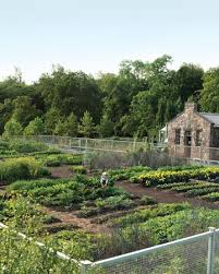 cantitoe corners martha s vegetable garden huerto jardin huerto jardineria