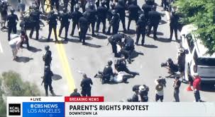 Leave Our Kids Alone group protest, LAPD make arrests