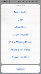 But if you do need to remove an attendee from the meeting at any point, zoom makes it easy to kick an unwanted participant out of the meeting. Meetingteilnehmer Verwalten Zoom Help Center