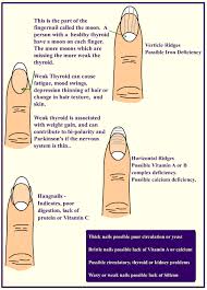 Guide To Deciphering Your Fingernail Health What To Do