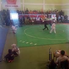 Pendahuluan pertandingan pencak silat ikatan pencak silat indonesia dilakukan berdasarkan rasa persaudaraan dan jiwa kesatria dengan men. Emas Asian Games Bakar Semangat Pendekar Pendekar Tanah Pasundan Regional Liputan6 Com