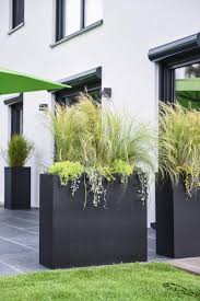 Pflanzkubel Als Sichtschutz Auf Terrasse Mit Unserem Blumenkubel Elemento Lasst Sich Ein Ausgezeichneter Sichtsch Backyard Modern Garden Backyard Landscaping