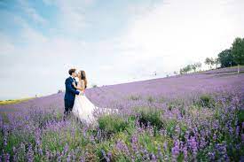 Get wedding flowers ideas and wedding inspiration from our wedding flower experts! 6 Gorgeous Flower Fields For Pre Wedding Shoot Overseas Minus The Crowd Onethreeonefour Blog