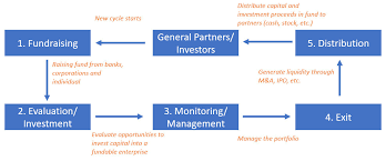 In life sciences venture capital, especially startup funds, you can also earn a phd in a field such as a biology or chemistry and enter the industry, as a deep scientific background is essential. How Venture Capital Firm Works By Olivia Ma Linkedin