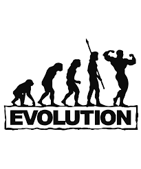 Evolution Of Man Decal Sports Wall Decals Sports Wall Wall Decals
