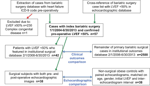 Clinical And Echocardiographic Outcomes After Bariatric