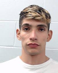 Araujo Rangel, Efrain Roman was booked into the Hays County Jail