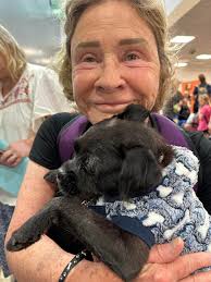 Sula Dog Tabitha Finds Forever Home Through The Sula Society