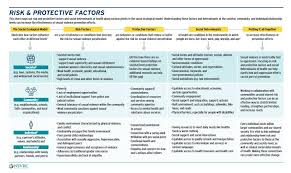 Introducing The Risk And Protective Factors Infographic