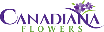 Where can i get free flowers in toronto? Canadiana Flowers Same Day Flower Delivery In Toronto Toronto Florist