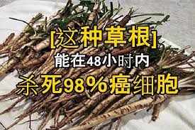 罹患癌症的人 常常在手术之后需要忍受化疗的折磨 几个月下来不仅身体变得很虚弱 头发都会掉光光 health knowledge traditional chinese