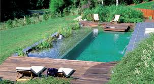 Piscine Ecologique L Interet D Une Baignade Au Naturel Bio A La Une