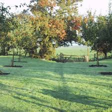 Tour Monty Don S Garden In Herefordshire Monty Don Longmeadow Monty Don Beautiful Gardens Longmeadow Garden