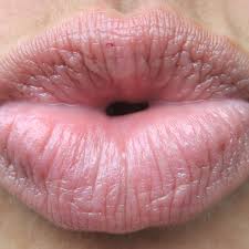 Die börlind gmbh bezieht nun stellung dazu: Labello Blistex Oder Bebe Stiftung Warentest Hat Lippenpflegeprodukte Untersucht Gesundheit