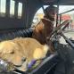 CRUISING FOR A CAUSE, SAVING PAWS (208)
