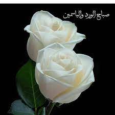 l image contient peut etre fleur et texte