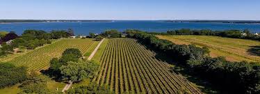 Here are some helpful navigation tips and features. New York Long Island Archives Winery Wedding Guide