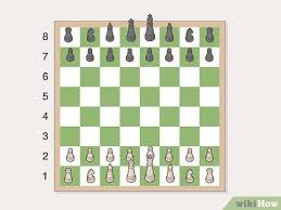 Über 7 millionen englischsprachige bücher. How To Play Chess For Beginners With Pictures Wikihow