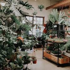 Htg supply is an indoor garden supply store specializing in horticultural lighting fixtures, nutrients and maintenance tools for growing plants. Best Plant Nurseries Near Me June 2021 Find Nearby Plant Nurseries Reviews Yelp