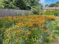 Plants: Native, Non-Native and Invasive Lecture