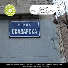 يلاترافيل service trip travel ako