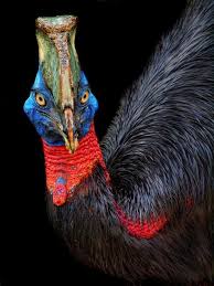 Pin On Birds 4