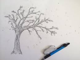 Sketsa bunga matahari merupakan sketsa yang banya digambar oleh seniman. Sketsa Bunga Sakura Steemkr