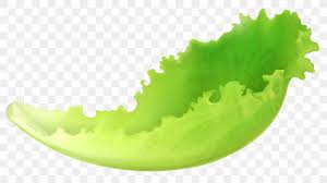 Lettuce Salad Vegetable Clip Art Png 4590x2572px Iceberg Lettuce Food Fruit Green Leaf Download Free Choose from 1800+ salad graphic resources and download in the form of png, eps, ai or psd. lettuce salad vegetable clip art png