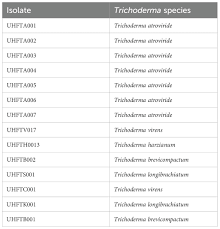 Frontiers | Biocontrol potential of Trichoderma-derived chitinase:  optimization, purification, and antifungal activity against soilborne  pathogens of apple