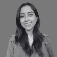 300+ "Hassel" profiles