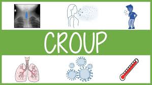 Image result for Croup Score