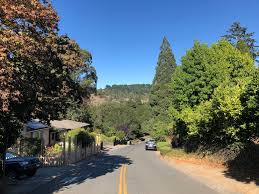 Website directions services more info. Insurance Firms Drop Berkeley Hills Homeowners Citing Wildfire Risk