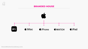 What Is Brand Architecture Examples Brand Master Academy