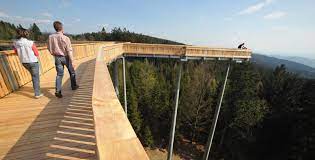 treetop walk baumwipfelpfad xtend fallprotection x stainless carlstah facade cladding stainless steel frame stainless steel mesh