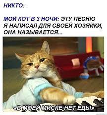 Мемы - песня в 3 часа ночи | Facebook