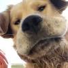 Explore other popular pets near you from over 7 million businesses with over 142 million reviews and opinions from yelpers. 1