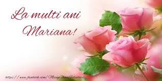Mai ales prin zona gării de nord, pe acolo, sunt foarte mulți șobolani. Felicitari Cu Numele Mariana De La Multi Ani Pagina 13 Felicitaricunume Com