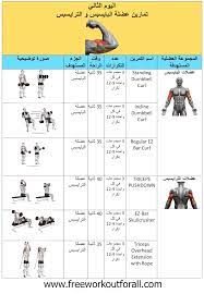 جدول تمارين كمال الاجسام 5 ايام workout schedule gym schedule gym workout chart