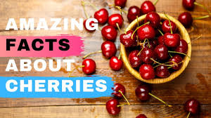 Can Cherries Make You Sick