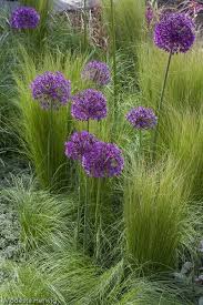 Greenplantreligion Plants Garden Landscape Design Garden Inspiration