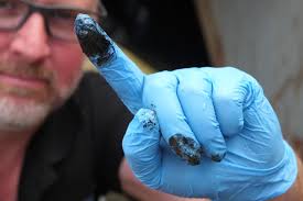 Tullah and surrounds trying to make the best of oil spill shutdown of Lake  Rosebery