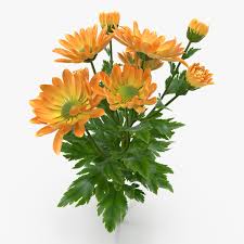 3d Model Orange Chrysanthemum Chrysanthemum 3d Model Flowers And Leaves