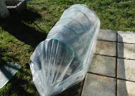 The perfect greenhouse doesn't exist yet, but we know the requirements. 4 Diy Mini Greenhouse Ideas That Won T Break The Bank Garden And Happy
