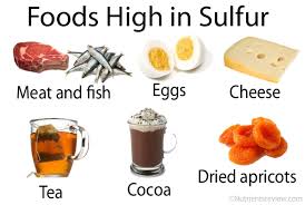 Sulfur And Sulfite Rich Foods Sulfur Burps
