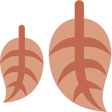 Meaning of maple leaf emoji. Maple Leaf Emoji Meaning With Pictures From A To Z