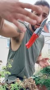 170 Lawn and Garden Care ideas